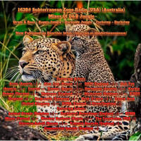 1638#SubterraneanZoneRadio 06 07 25(USA) &amp; 08_07_25(Australia)Mixs Of D&amp;B Jungle by INFECTIOUS UNEASE RADIO & SUBTERRANEAN ZONE RADIO info@infectiousuneaseradio.com