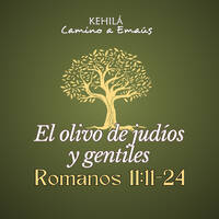 Romanos 11:11-24 | El olivo de judíos y gentiles by Kehila Camino a Emaus