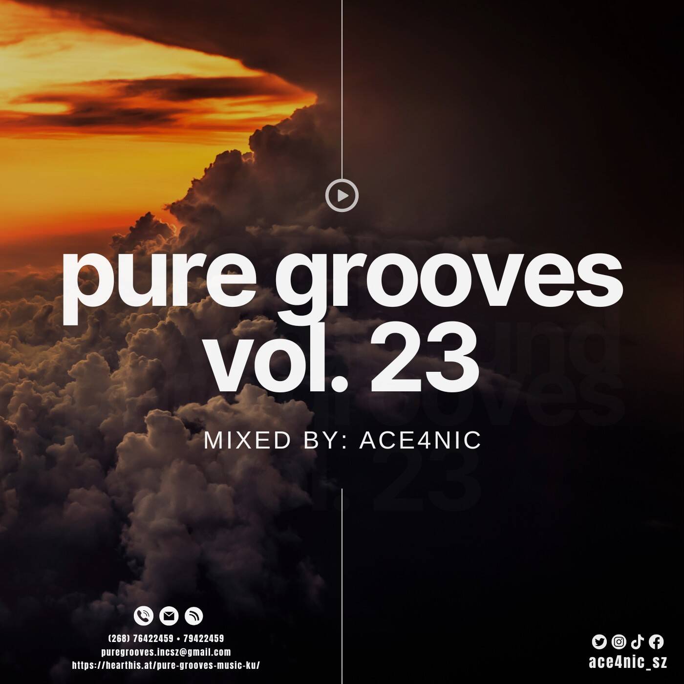 Pure Grooves Vol.23 Mixed By. ACE4NIC