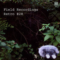 Field Recordings | Retro #28 by PG3A