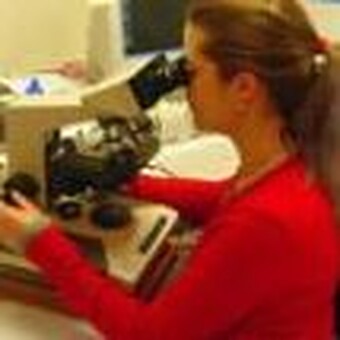 Melanie B&ouml;ttcher