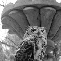 45/88 Crepúsculos ardientes (Fantasmas) by Elko Omar Vazquez Erosa