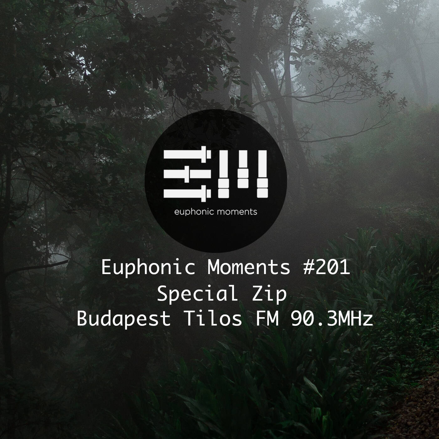 Euphonic Moments # 201 Special Zip episode artwork