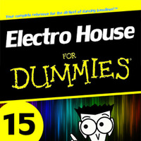 Electro House for Dummies 15 by Kill Yourself