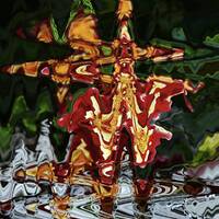 Suite distancielle by Gérard Delassus