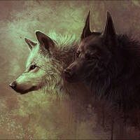 Uplifting Trance Dreams &amp; Trips Vol.3 by Johnny M