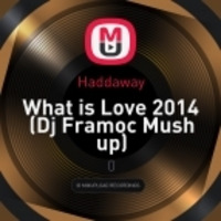 Haddaway - What is Love 2014 (Dj Framoc Mush up) by Francesco Moccia