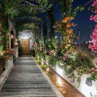 Another Spring / Jeremy Berenger by The Elsewhere Fantasy Orchestra