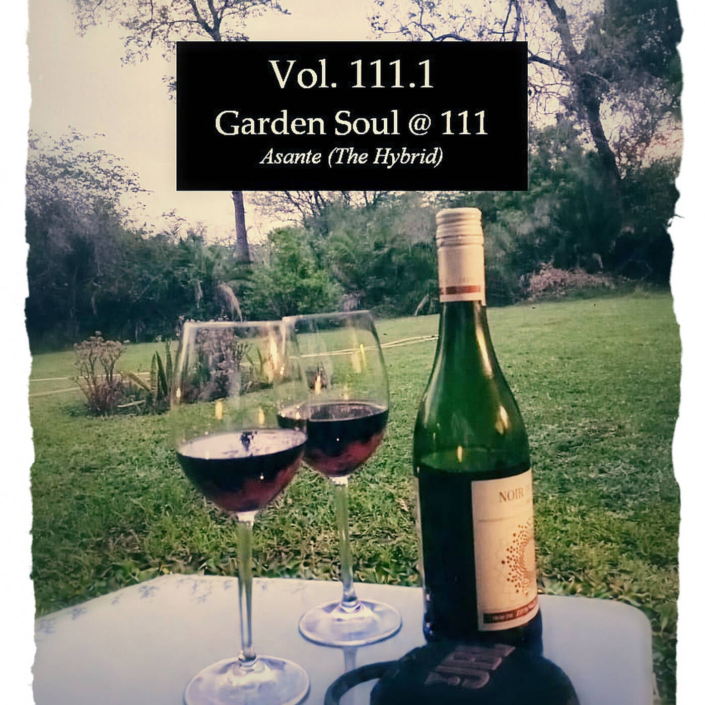 Virtual Session Vol.111.1 (Garden Soul @ 111) episode artwork