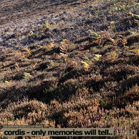 Cordis - Only Memories Will Tell.. #10 by Cordis
