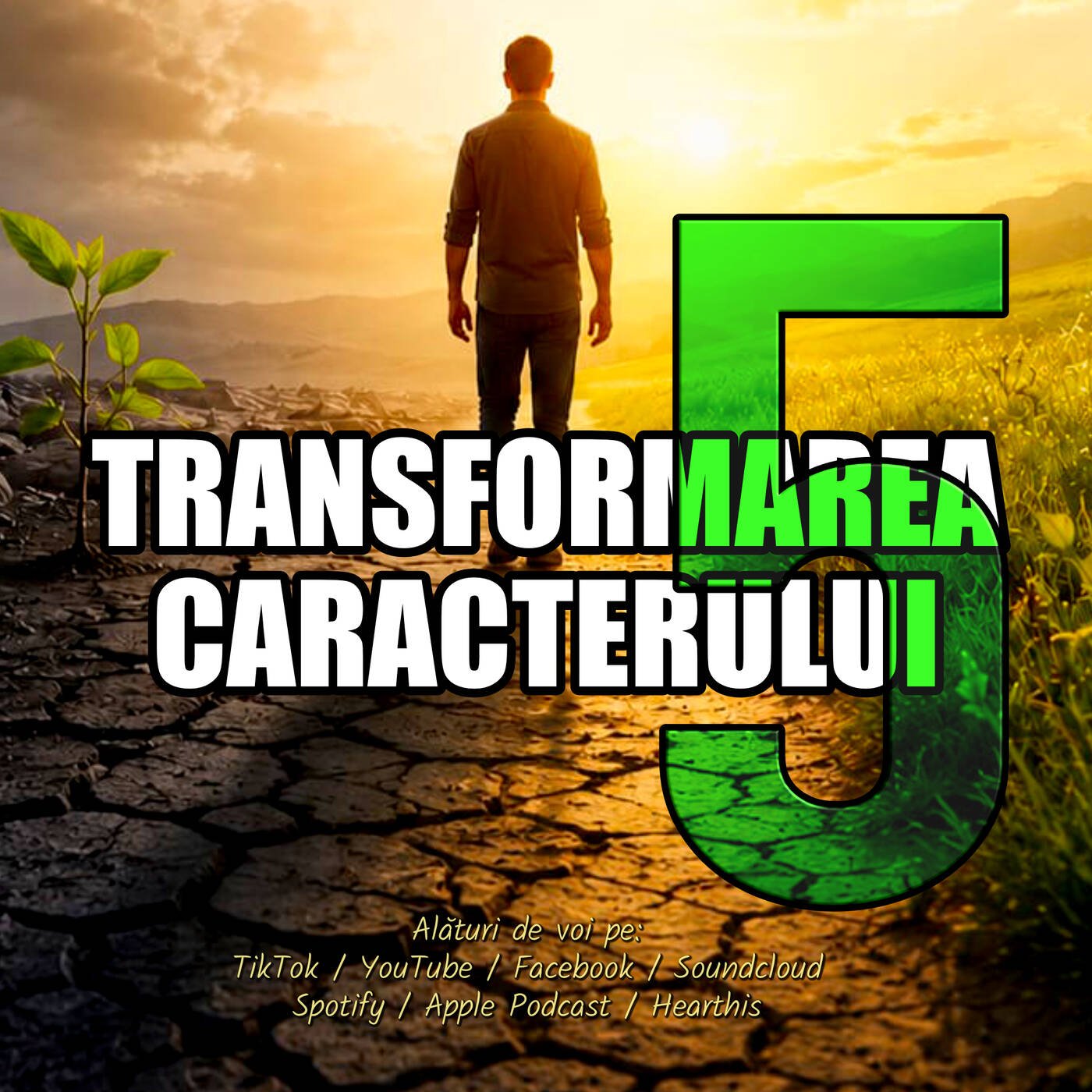 Transformarea Caracterului 5 (importanța Dragostei) episode artwork