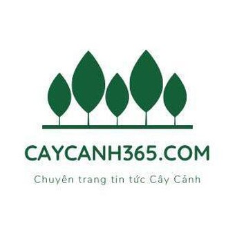 365 C&acirc;y Cảnh
