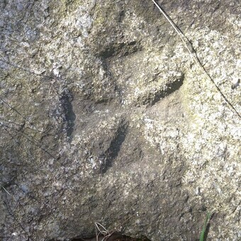 Paweł Jędrzejewski