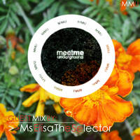 053 Meet Me Underground [#BlackLivesMatter] Guest Mix By MsElisa The Selector by Meet Me Underground (MMU Realm)