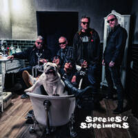 Alk-a-line - Homo Sapiens by Cheap Satanism Records