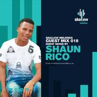 Shallow Melodies 018_Guest Mix By Shaun Rico by Shallow Melodies