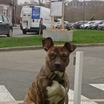 Lo&iuml;c Keranguyader