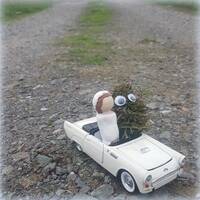 Ode to free the Marijuana x for all x by bowdeeni fish x