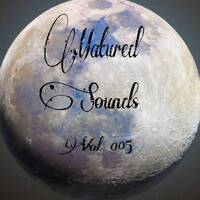 Matured Sounds Vol 005 by Shorty101