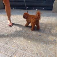 podcast 16 by LE MATOU