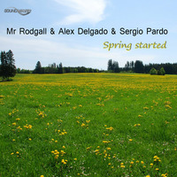 0721AS : Mr Rodgall & Alex Delgado & Sergio Pardo - Privacy (Original Mix) preview by Soundwaves