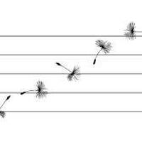 Bachrich, Ernst (1892-1942) - Prélude pour piano à Madame Helène Herschel by EchoSpore (Stiftung Lichterfeld)