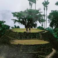 Alquímica Records - Setblock 11 (Music for Dragonflies ≽༏≼) by GDS.FM