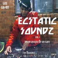 ECSTATIC SOUNDZ VOL 2 (ORCHESTRATED BY LEE GARY) by Lee Gary