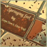 Springing Feel by Carpe Diem &amp; Oliver Kraft by Dj Carpe Diem