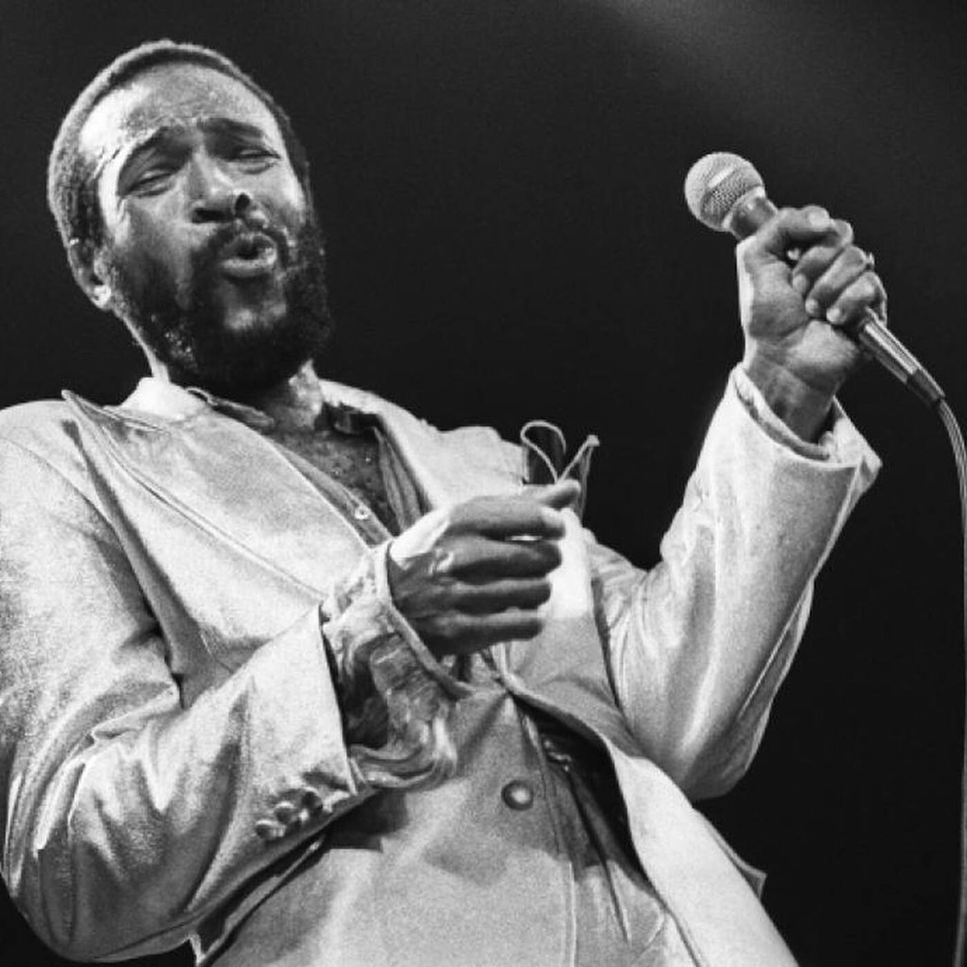 Oh Marvin, you're so gaye! episode artwork