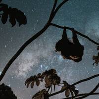 Urban Beat Flo #2: Psychedelic Downtempo Experience @ Gaengeviertel by Ex-Mono (Fail Safe "Techno für Erwachsene")