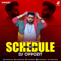 Schedule (Remix) - DJ Oppozit by All Indian DJs Drive