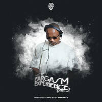 The Eargasm Experience Vol 2 mixed by Immunity by Immunity