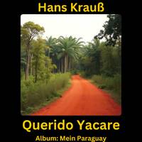 Querido Yacare by Hans Krauß