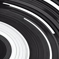 Let It All Hang Out by ArnieP