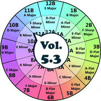 Vol. 5.3 Harmonic Mixing Study, "Psy-Trance" (Guitar Interruptus Mix) Feb. 2nd 2014 by thirdwavehk