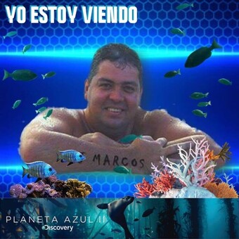 Marcos J Vergne Morais