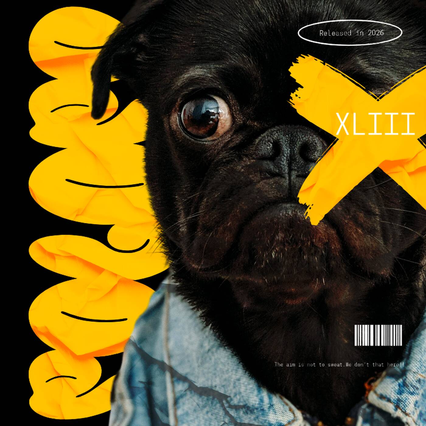 POLOPO 43 Mixed By LebtoniQ