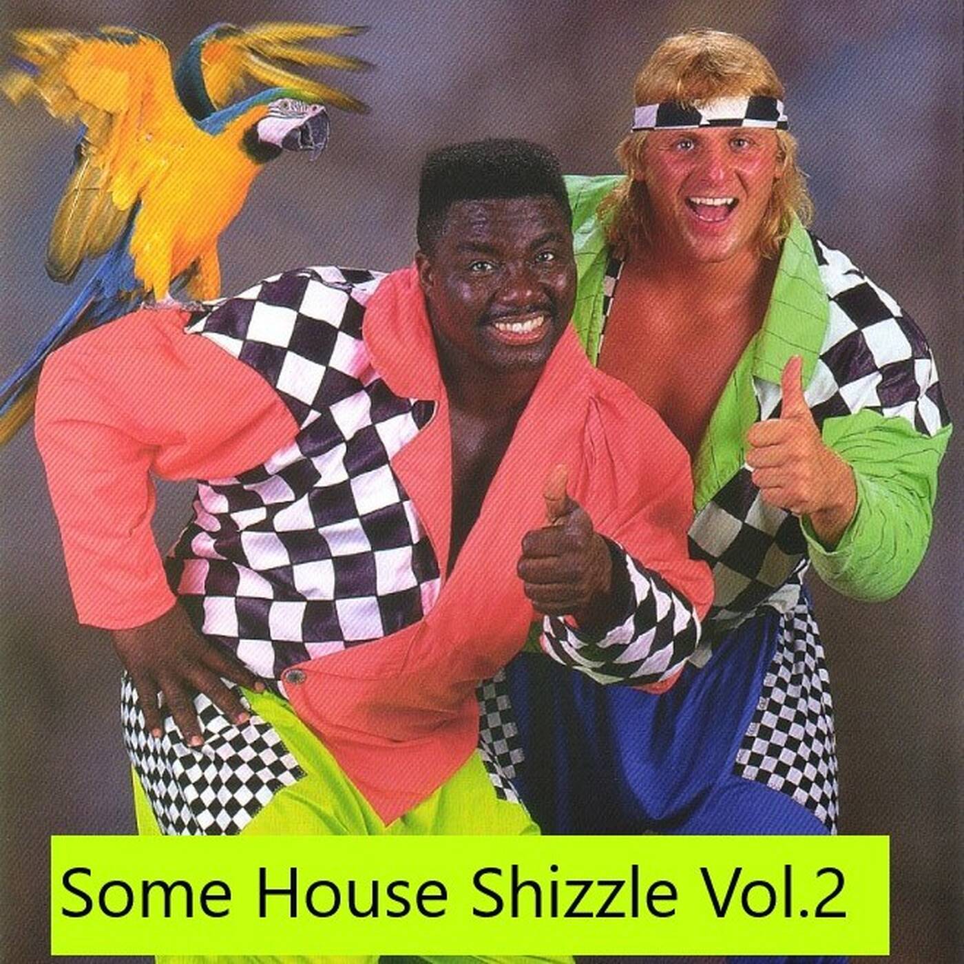 Some House Shizzle! Vol 2 episode artwork