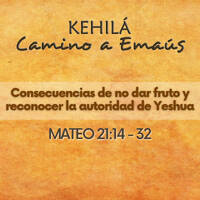 Mateo 21:14-32 | Consecuencias de no dar fruto y reconocer la autoridad de Yeshua by Kehila Camino a Emaus