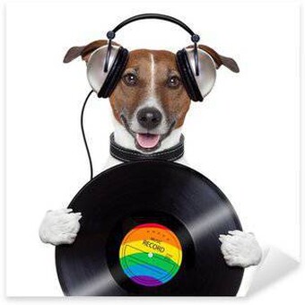 sosanimalitos.com.co