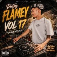 DeeJay Flamey Vol 17 by DeeJay Flamey