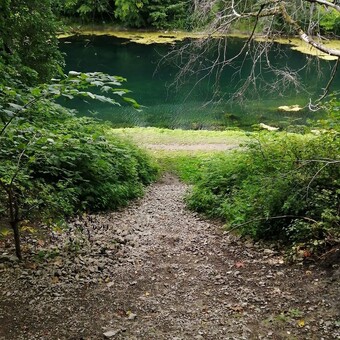 Шмелев Евгений