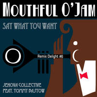 Jenova Collective - Say What You Want (Captain Flatcap Remix) by Captain Flatcap