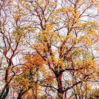 copernicus - highway to house - episode 42 by copernicus