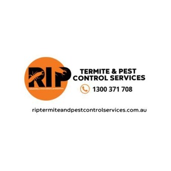 RIP Termite