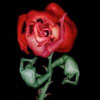 'You need somebody' by Wannislas (2010) FREE DOWNLOAD by Abstinent Dazzle Music Productions (ADMP)