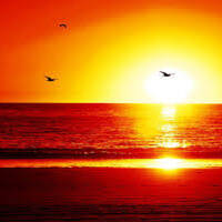 Frozen Soul 1#(Madona vs Faithless vs Gummy Soul) by Dj Gaya