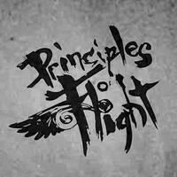 Principles of Flight live@Paris December 2007 by Micronova