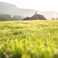 Cele 5 sfaturi pentru a respira mai bine by Stefan Pusca